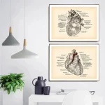 Herzmodell und Anatomiezeichnung, wissenschaftliche Wandkunst, ideal für medizinische Dekorationen, Studienzimmer oder Labor.