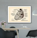 Detailliertes anatomisches Herzdiagramm mit Beschriftungen, das die verschiedenen Teile und Funktionen des menschlichen Herzens zeigt.
