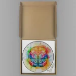 Farbintensives Kunstwerk eines Gehirns in einer offenen Verpackung, ideal für wissenschaftliche Dekorationen und Geschenke.