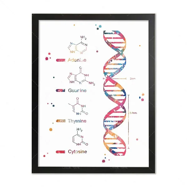 Wissenschaftliches Kunstwerk mit DNA-Doppelhelix und chemischen Strukturen, farblich gestaltet, in schwarzem Rahmen.