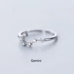 Eleganter Silberring mit Zwillinge-Konstellation, perfekt für Sternzeichenliebhaber und als modisches Accessoire.