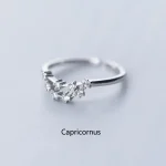 Eleganter Ring mit Sternzeichen Capricornus, verziert mit funkelnden Zirkonias, ideal für Astrologie- und Schmuckliebhaber.