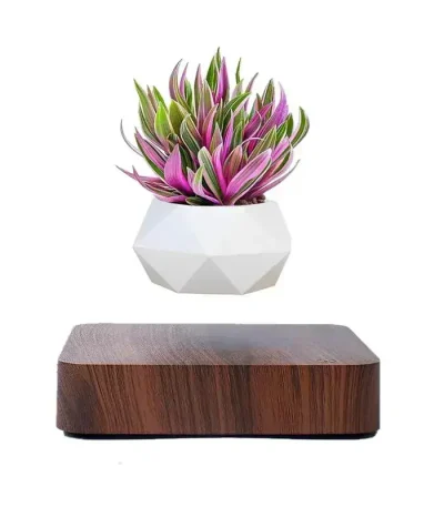 Schwebender Blumentopf durch magnetische Levitation mit dekorativer Pflanze.