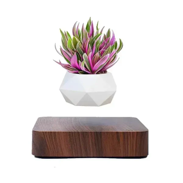 Schwebender Blumentopf durch magnetische Levitation mit dekorativer Pflanze.