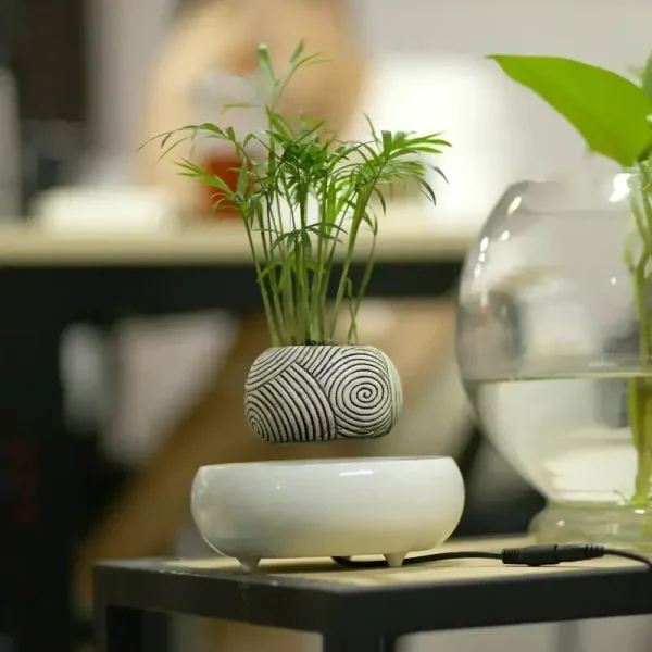 Blumentopf mit geometrischem Muster und grüner Pflanze, stilvolle Dekoration für Wissenschafts- und Designliebhaber.