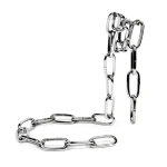 Eleganter Kettenanhänger aus glänzendem Metall, ideal für wissenschaftliche Dekorationen oder modische Accessoires. Perfekt für Liebhaber von wissenschaftlichen Gadgets und stilvollen Schmuckstüc.