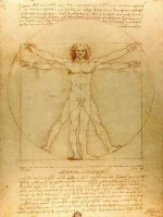 Hochwertiges Replikat des berühmten Vitruvianischen Menschen von Leonardo da Vinci, ideal für Wissenschafts- und Kunstdekorationen.