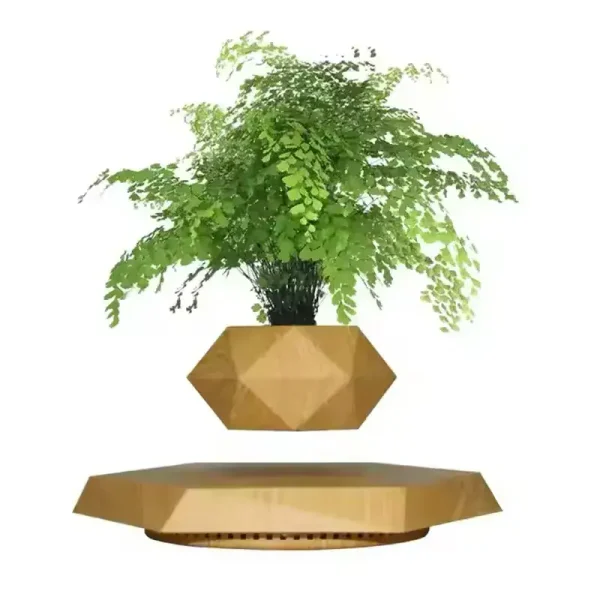 Schwebende Holzvase mit schwebender grüner Pflanze, moderne und originelle Dekoration.