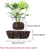 Dekoratives Wissenschafts- und Pflanzen-Set mit Topf und Basis, ideal für Natur- und Wissenschaftsdekorationen, Maße: 8,5 cm hoch, 20 cm breit.