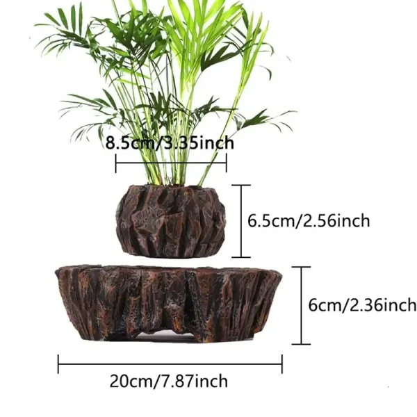 Dekoratives Wissenschafts- und Pflanzen-Set mit Topf und Basis, ideal für Natur- und Wissenschaftsdekorationen, Maße: 8,5 cm hoch, 20 cm breit.