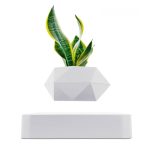 Moderner geometrischer Blumentopf mit grüner Pflanze, ideal für stilvolle Raumdekorationen.