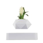 Moderne geometrische Vase mit weißen Blumen, ideal für wissenschaftliche Dekorationen und stilvolle Raumgestaltung.