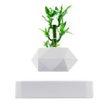Moderner Blumentopf mit LED-Beleuchtung und grünen Pflanzen, ideal für Dekoration und Wissenschaftsprojekte.