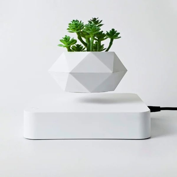 Moderner geometrischer Blumentopf mit grünen Sukkulenten auf einer weißen Basis, ideal für wissenschaftliche Dekorationen und moderne Inneneinrichtung.