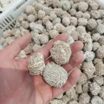 Altsteinzeitliche Fossilien in der Hand gehalten, mit vielen weiteren Fossilien im Hintergrund.