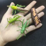 Kreative wissenschaftliche Dekoration mit Insekten- und Käfermodellen aus Kunststoff, ideal für Bildung und Sammlungen.
