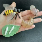 Detaillierte wissenschaftliche Modelle einer Biene, Larve, Schnecke, Schneckenhaus und einer Blattform, ideal für Bildungs- und Dekorationszwecke.