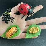 Detaillierte Kunststoff-Dekorationen von Insekten und Blumen, inklusive Marienkäfer, Ameise, Raupe und Blätter, ideal für wissenschaftliche und dekorative Zwecke.