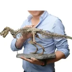 Detailliertes Dinosaurier-Skelettmodell, das von einer Person gehalten wird, ideal für wissenschaftliche Dekorationen und Lernzwecke.