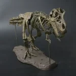 Detailliertes Dinosaurier-Skelettmodell aus Knochenmaterial, ideal für wissenschaftliche Ausstellungen und als dekoratives Element in Bildungseinrichtungen.