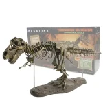 Detailliertes T-Rex Skelettmodell als 3D-Puzzle, perfekt für Wissenschafts- und Dinosaurierliebhaber, ideal als Dekoration oder Lernmaterial.