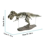 Detailliertes Dinosaurier-Skelettmodell mit Maßen 70x22x12 cm, ideal für Wissenschafts- und Dekorationszwecke, zeigt authentische Knochenstrukturen und ist perfekt für Bildung und Sammlungen.