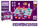 Bildungselektronikspiel für Kinder ab 6 Jahren, bestehend aus 45 Teilen, um spielerisch Elektrizität zu lernen.
