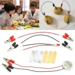 Wissenschaftliches Experimentierset mit Kabeln, Krokodilklemmen und Batterien für Schüler, ideal für Bildungszwecke und Experimente im Klassenzimmer.