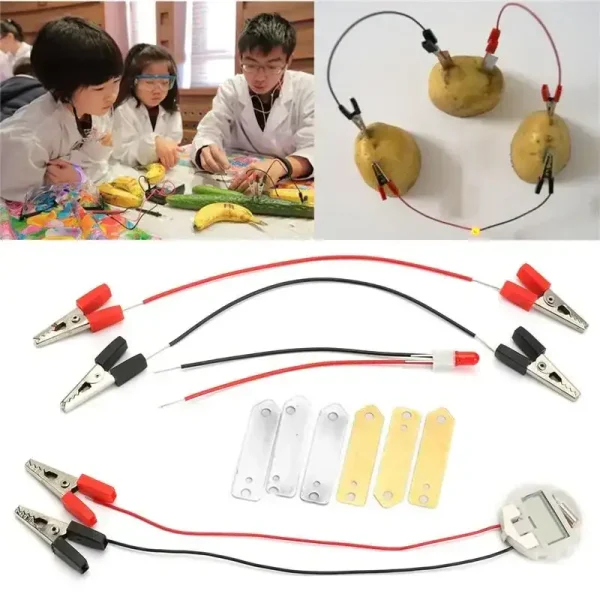 Wissenschaftliches Experimentierset mit Kabeln, Krokodilklemmen und Batterien für Schüler, ideal für Bildungszwecke und Experimente im Klassenzimmer.