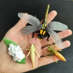 Detaillierte wissenschaftliche Dekorationsfiguren, inklusive einer großen Libelle, einer Larve, einer Raupe und einer kleinen Insektenfigur, perfekt für wissenschaftliche Themen und kreative Raumgesta.