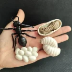 Detailliertes Modell einer Ameise mit Eiern, Larve und Puppe, ideal für wissenschaftliche und dekorative Zwecke, präsentiert auf einer Hand.