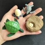 Detailaufnahme eines Dinosaurier-Spielzeugs, Fossil und Schildkrötenfigur auf einer Hand, ideal für Wissenschafts- und Dekorationsliebhaber.