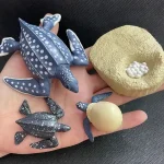 Hand mit handgefertigten Schmuckstücken, darunter ein Wal, ein Hai, eine Krabbe und ein Fossil, alle detailreich gestaltet und ideal für Meeresliebhaber.