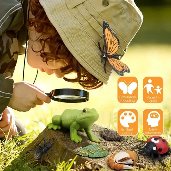 Kind mit Lupe untersucht eine grüne Froschfigur im Freien, umgeben von Insekten- und Tiermodellen, fördert frühe Bildung, Kreativität und Umweltbewusstsein.