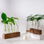 Dekorative Pflanzen in Glasröhren auf Holzständern, ideal für wissenschaftliche oder moderne Raumdekorationen.