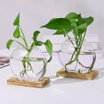 Zwei Wasserballgläser mit grünen Pflanzen, auf Holzplatten aufgestellt, dekoratives wissenschaftliches Dekor.
