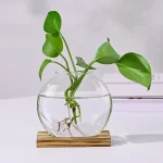 Dekoratives Wasserpflanzen-Arrangement in Glasvase.