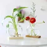 Zwei transparente Gläser mit Wasser, jeweils mit einer Pflanze, eine mit grünen Blättern und die andere mit roten Blumen, auf einem weißen Tisch.