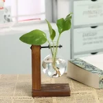 Pflanze in einem runden Glasbehälter auf einem Holzständer, auf einem Tisch mit Zeitung, im Hintergrund ein Büro.