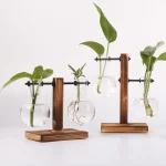 Dekorative Pflanzen in wissenschaftlichen Gläsern auf Holzständern, ideal für wissenschaftliche Dekorationen und moderne Inneneinrichtung.