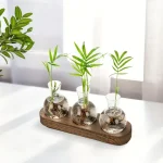 Dekorative Pflanzen in kleinen Glasvasen mit Wasser, auf einer Holzplatte präsentiert, ideal für moderne Raumdekorationen.
