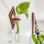 Dekorative Pflanze in Glasvase an Wand befestigt, modernes Raumdesign, nachhaltige Inneneinrichtung, grüne Zimmerpflanze, stilvolle Wanddekoration, natürliche Raumgestaltung, Pflanzen im Glas, urbanes.