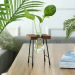 Modernes wissenschaftliches Dekor mit grünen Pflanzen in einem Glasgefäß auf einem Holzständer, ideal für stilvolle Raumgestaltung.