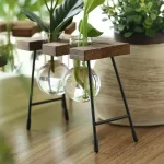 Dekoratives Pflanzenarrangement in einem Glas auf einem modernen Holz- und Metallständer, ideal für Wohn- oder Büroumgebungen.