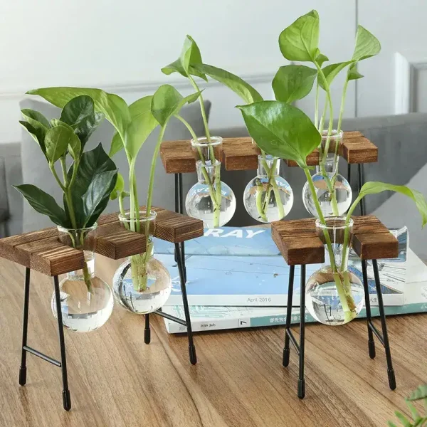 Dekorative Pflanzen in wissenschaftlichen Gläsern auf Holz- und Metallständern, ideal für moderne Wissenschafts- und Dekorationsliebhaber.