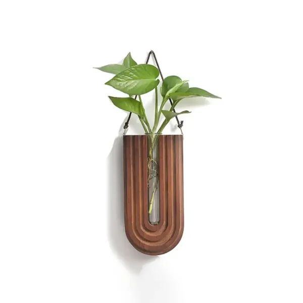 Moderner Blumenhalter aus Holz mit grüner Pflanze, ideal für wissenschaftliche Dekorationen und kreative Raumgestaltung.