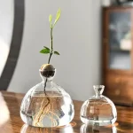 Dekoratives wissenschaftliches Pflanzen-Experiment in Glasgefäßen.