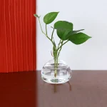 Frische grüne Pflanze in einer transparenten Glasvase auf einem Holztisch, dekoratives wissenschaftliches Element für Zuhause oder Büro.