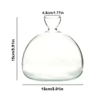 Klare, leere Wissenschaftsflasche aus Glas mit 15 cm Breite und 15,5 cm Höhe, ideal für Dekoration und wissenschaftliche Anwendungen.