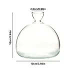 Transparente Glasflasche mit breitem Boden und schmalem Hals, ideal für wissenschaftliche Dekorationen oder als stilvolles Deko-Objekt. Maße: 10 cm hoch, 10 cm breit, Halsdurchmesser 2,5 cm.